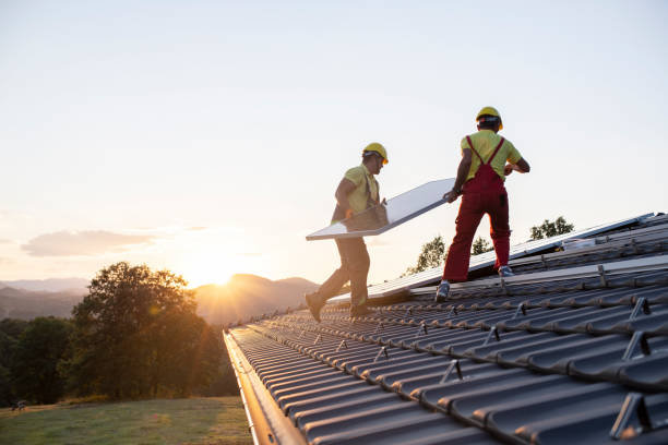 Best Roof Maintenance and Cleaning  in Omaha, NE